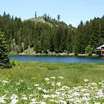 Panorama Reuthe