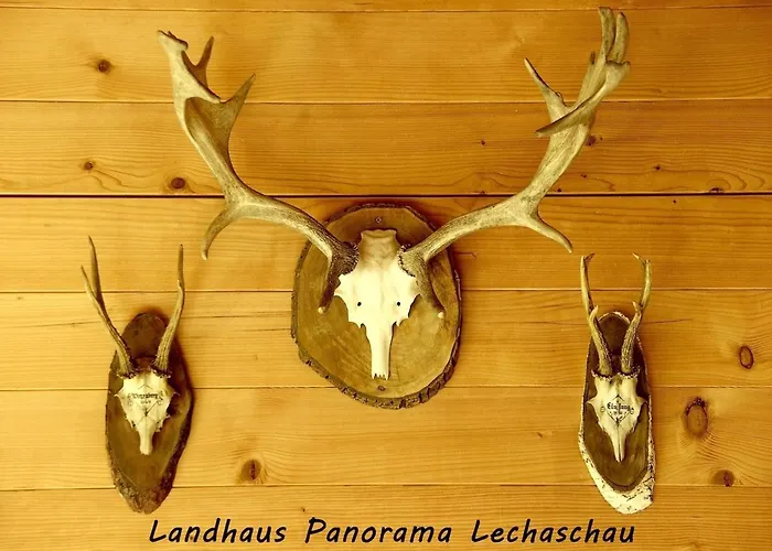 Holiday home Landhaus Panorama