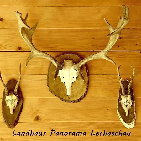 Prázdninový dům Panorama